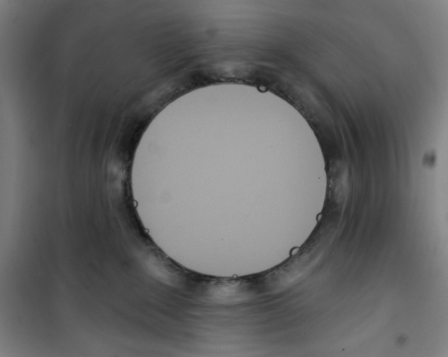 X0000100320235200807031218