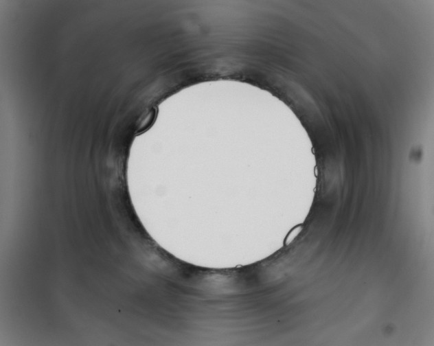 X0000100320236200807031218