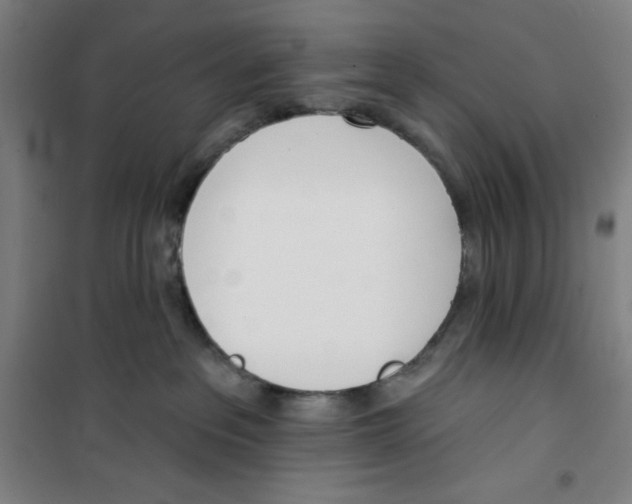 X0000100320237200807031218