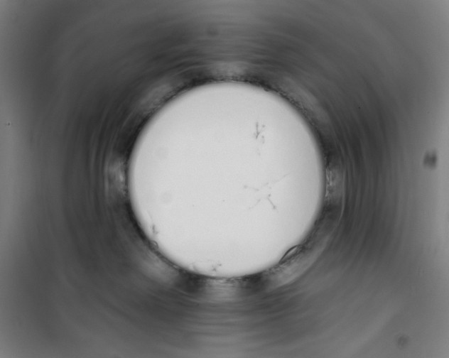 X0000100320238200807031218