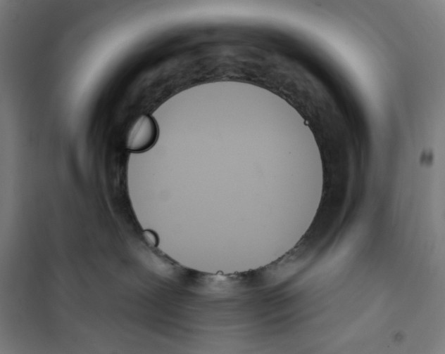 X0000100320239200807031218