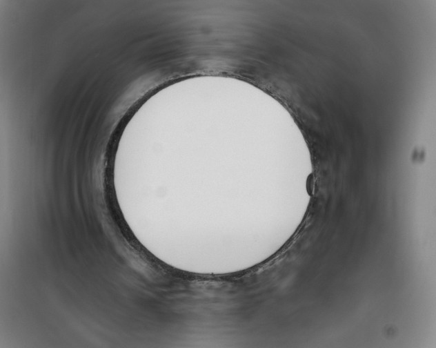 X0000100320242200807031217