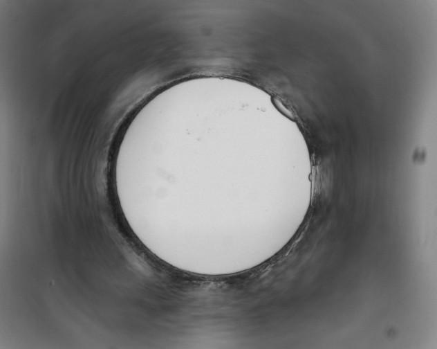 X0000100320243200807031217