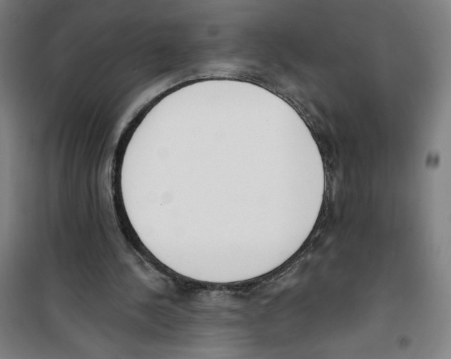 X0000100320244200807031217