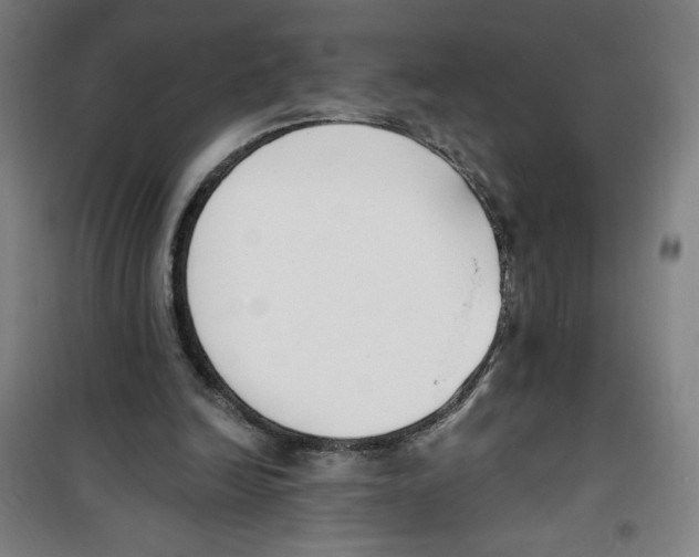 X0000100320246200807031217