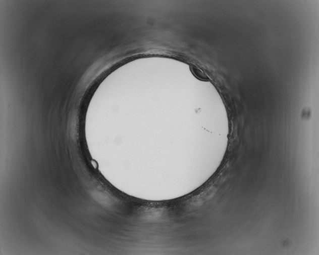 X0000100320247200807031217