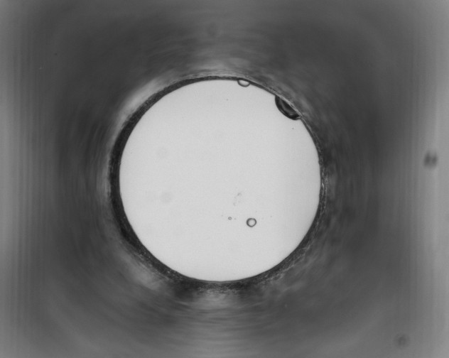 X0000100320248200807031217