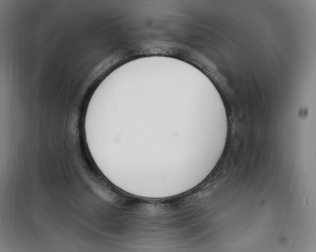 X0000100320250200807031217