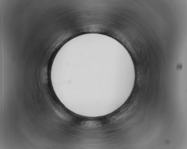 X0000100320251200807031217