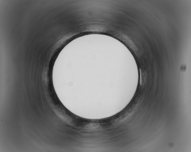 X0000100320252200807031217