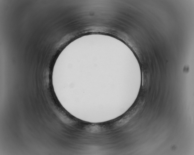 X0000100320253200807031217