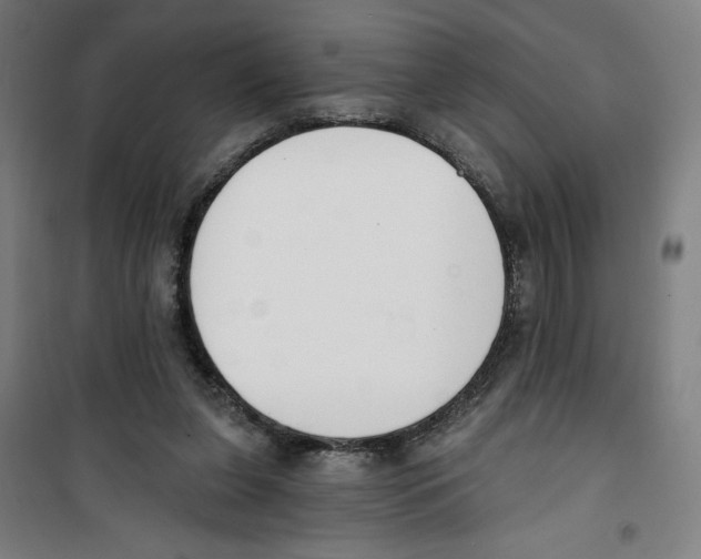 X0000100320255200807031217