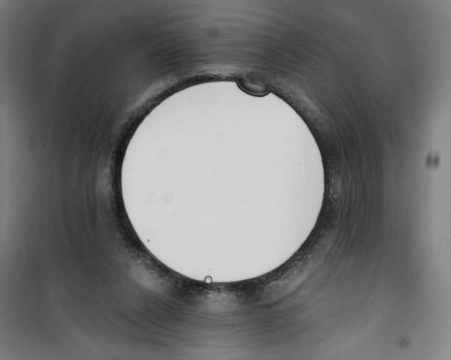 X0000100320256200807031217