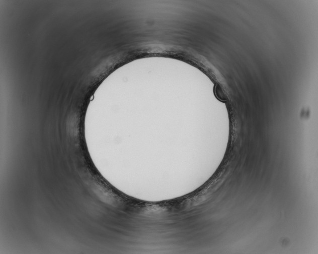 X0000100320257200807031217