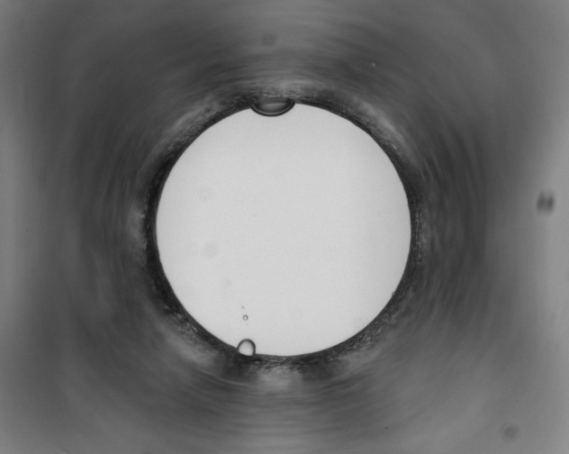 X0000100320258200807031217