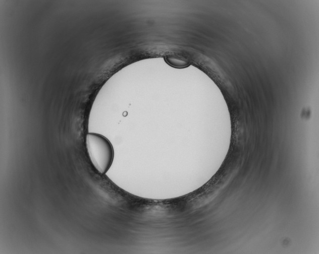 X0000100320259200807031217