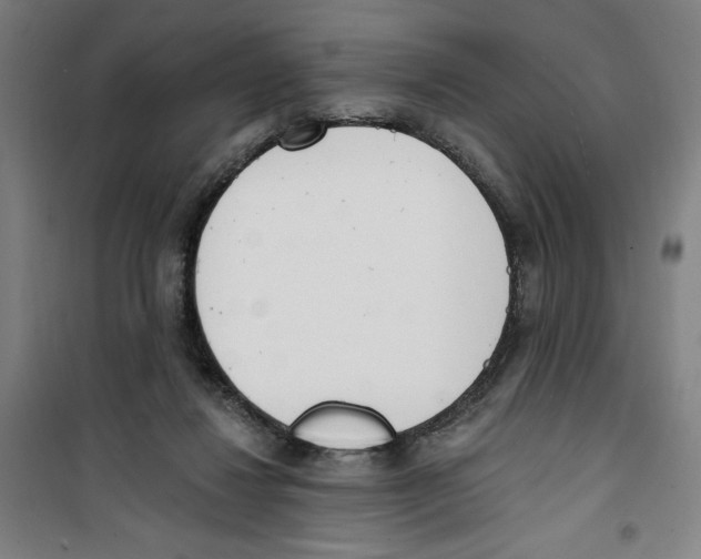 X0000100320260200807031217