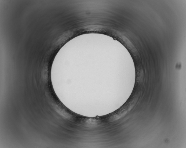 X0000100320261200807031217