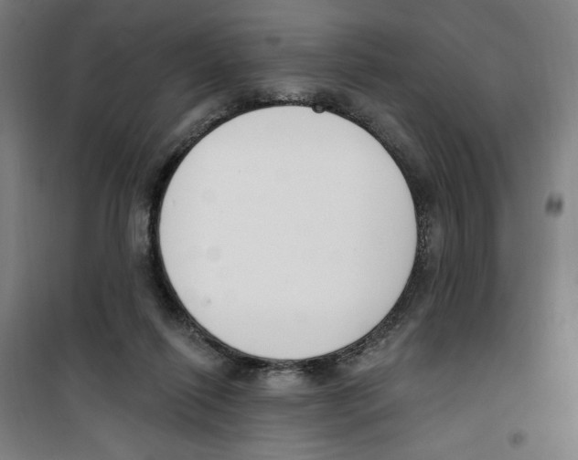 X0000100320262200807031217