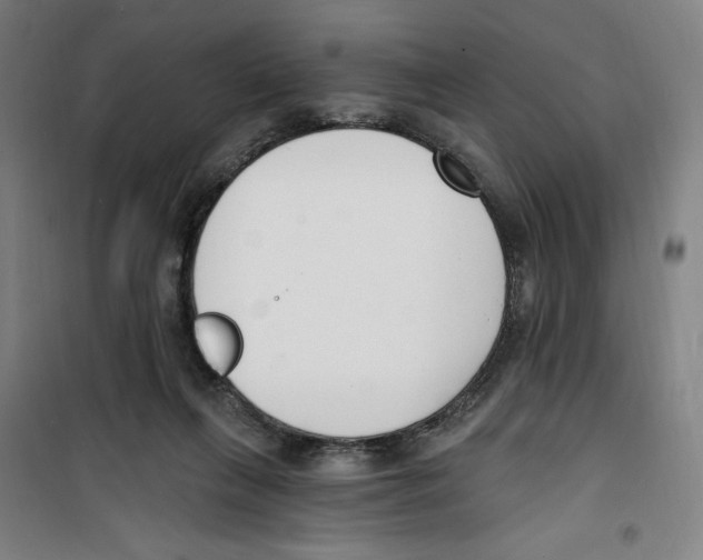 X0000100320263200807031217