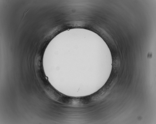 X0000100320264200807031218