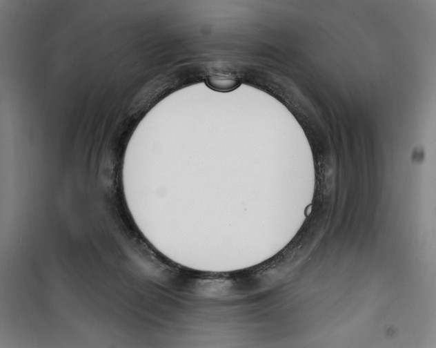 X0000100320266200807031218