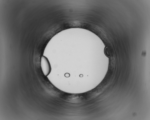 X0000100320267200807031218