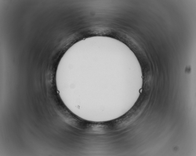 X0000100320268200807031218