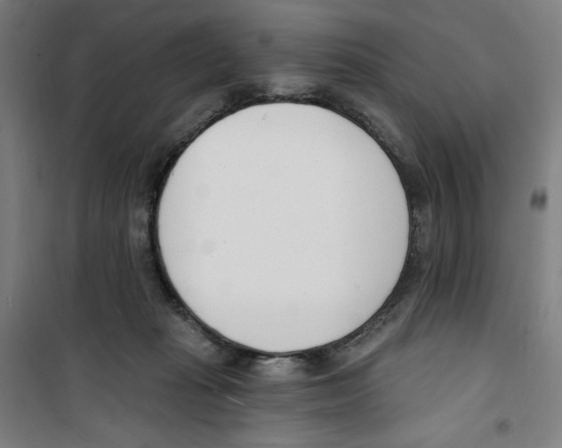 X0000100320269200807031218