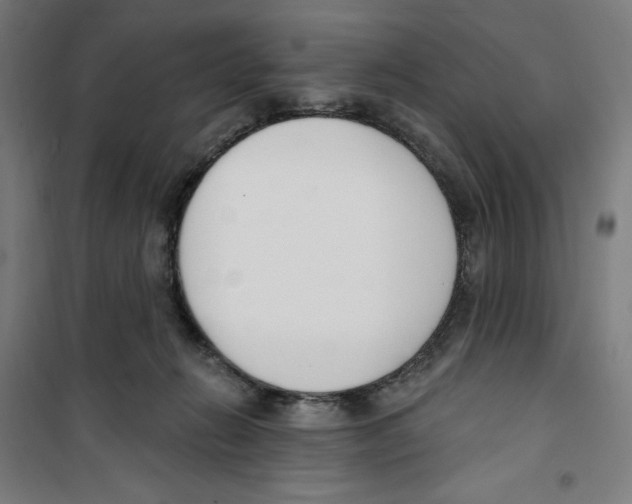 X0000100320270200807031218