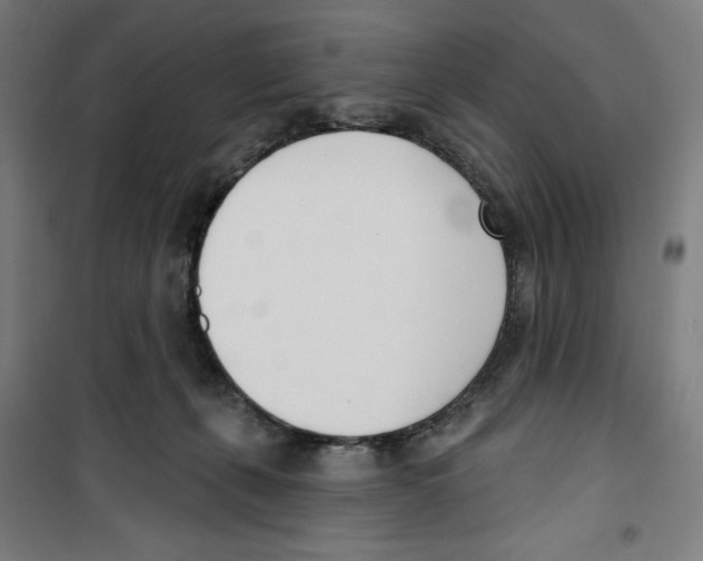 X0000100320271200807031218