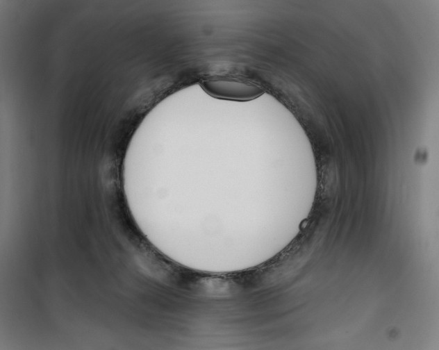 X0000100320272200807031218