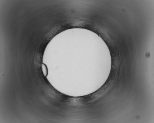 X0000100320273200807031218