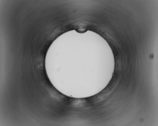 X0000100320274200807031218