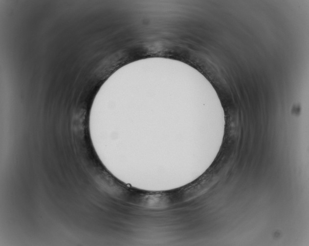 X0000100320275200807031218