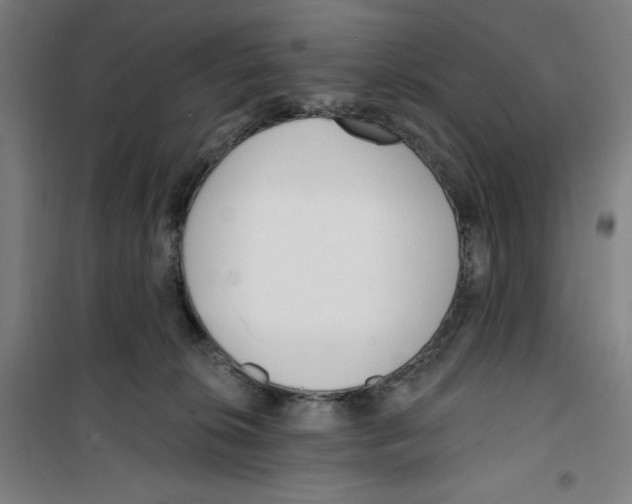 X0000100320276200807031218