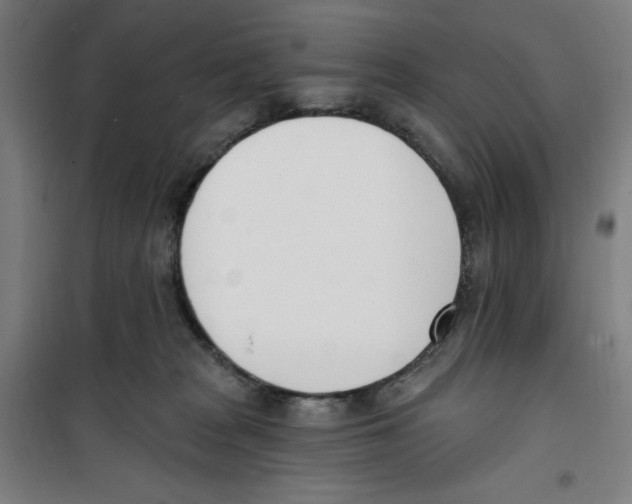 X0000100320277200807031218