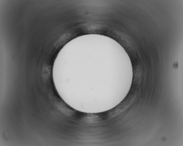 X0000100320278200807031218