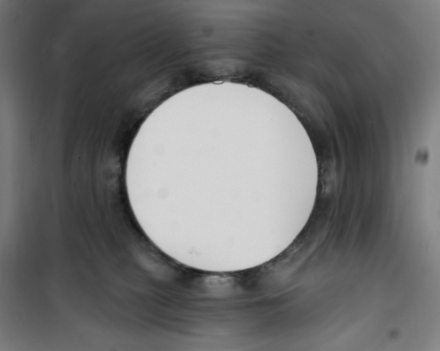 X0000100320279200807031218