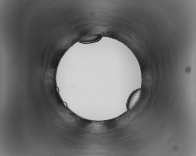 X0000100320280200807031218