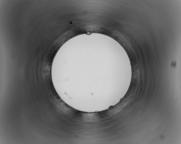 X0000100320281200807031218