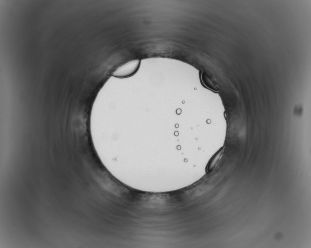 X0000100320282200807031218