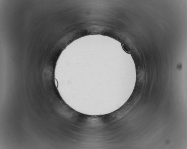 X0000100320283200807031218