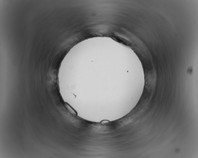 X0000100320284200807031218