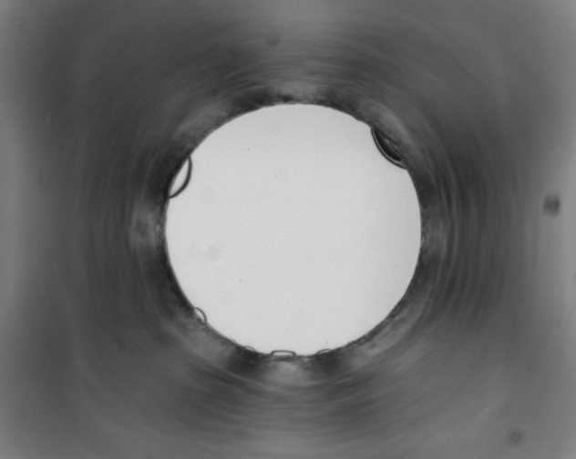 X0000100320285200807031218