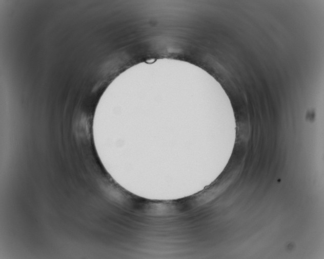 X0000100320286200807031218