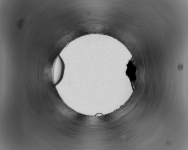 X0000100320287200807031218