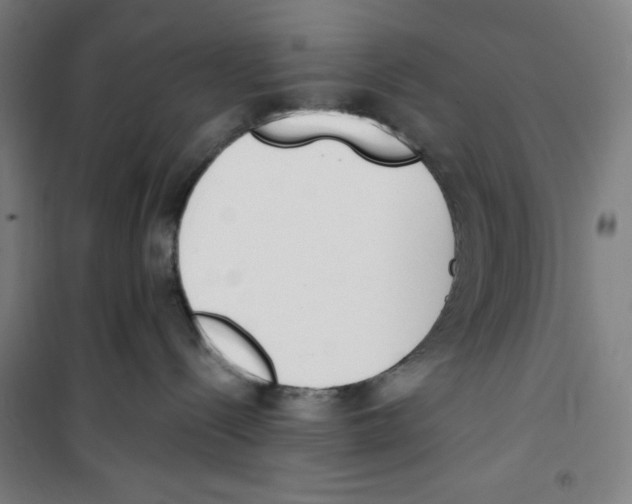 X0000100320288200807031218