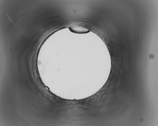 X0000100320289200807031217