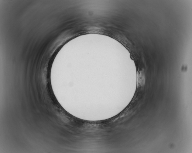 X0000100320291200807031217